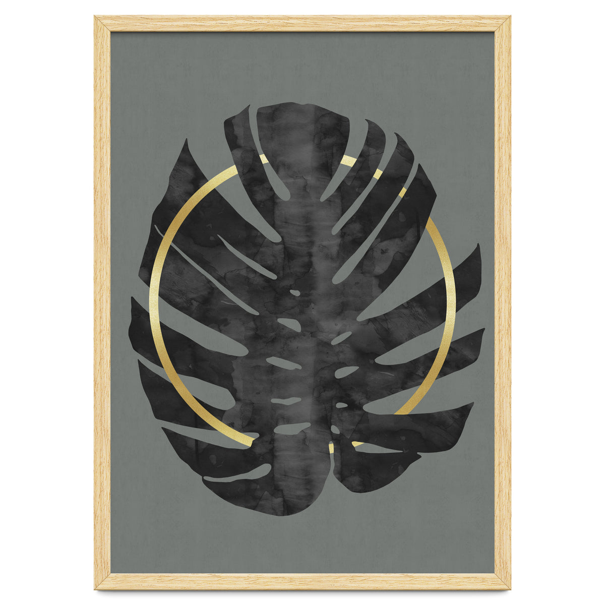 Monstera Deliciosa I