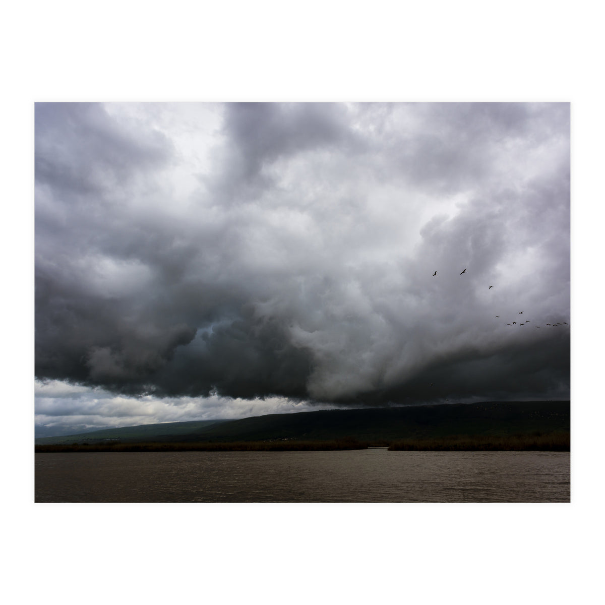 The Hula Valley #1 (Print Only)