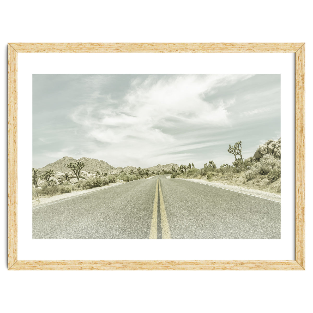 Joshua Trees, Park Boulevard | Vintage