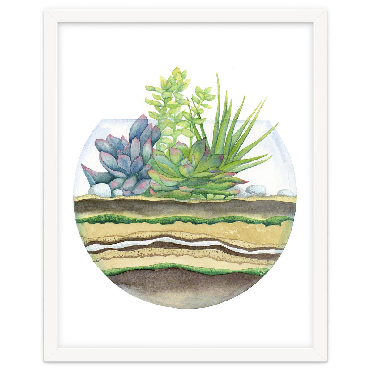 A Little Green Terrarium