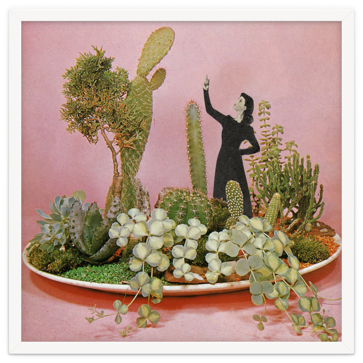 The Wonders Of Cactus Island