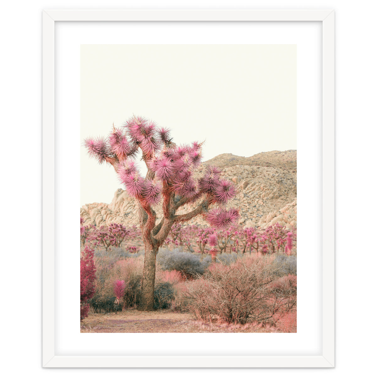 Boho Joshua Tree Cactus