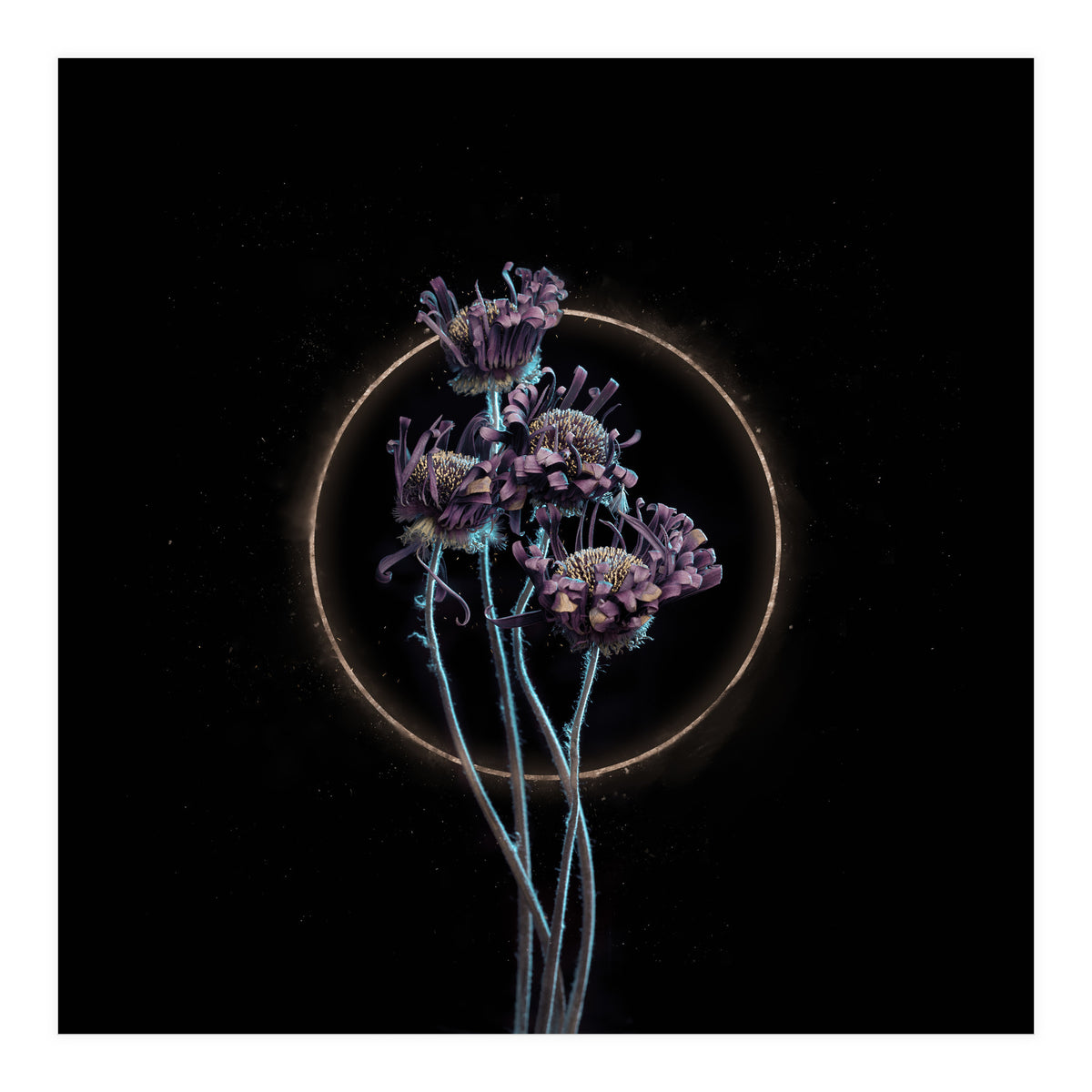 Candy-Coloured Mystery (Print Only)