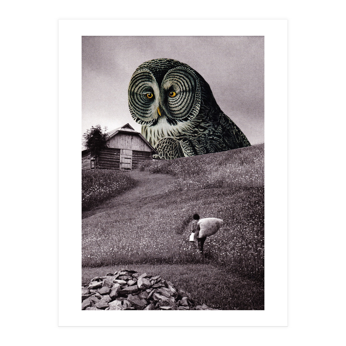 Nocturnal (Print Only)