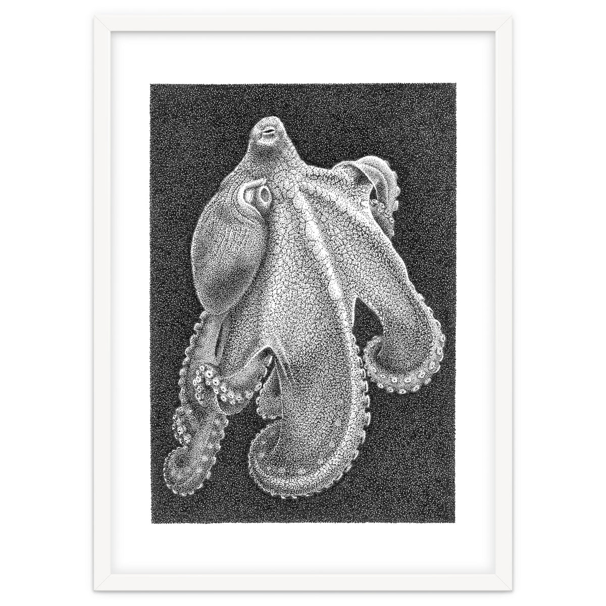 Octopus no. 2