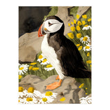 Puffin (Print Only) thumbnail