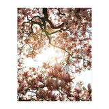 Magnolia tree (Print Only) thumbnail