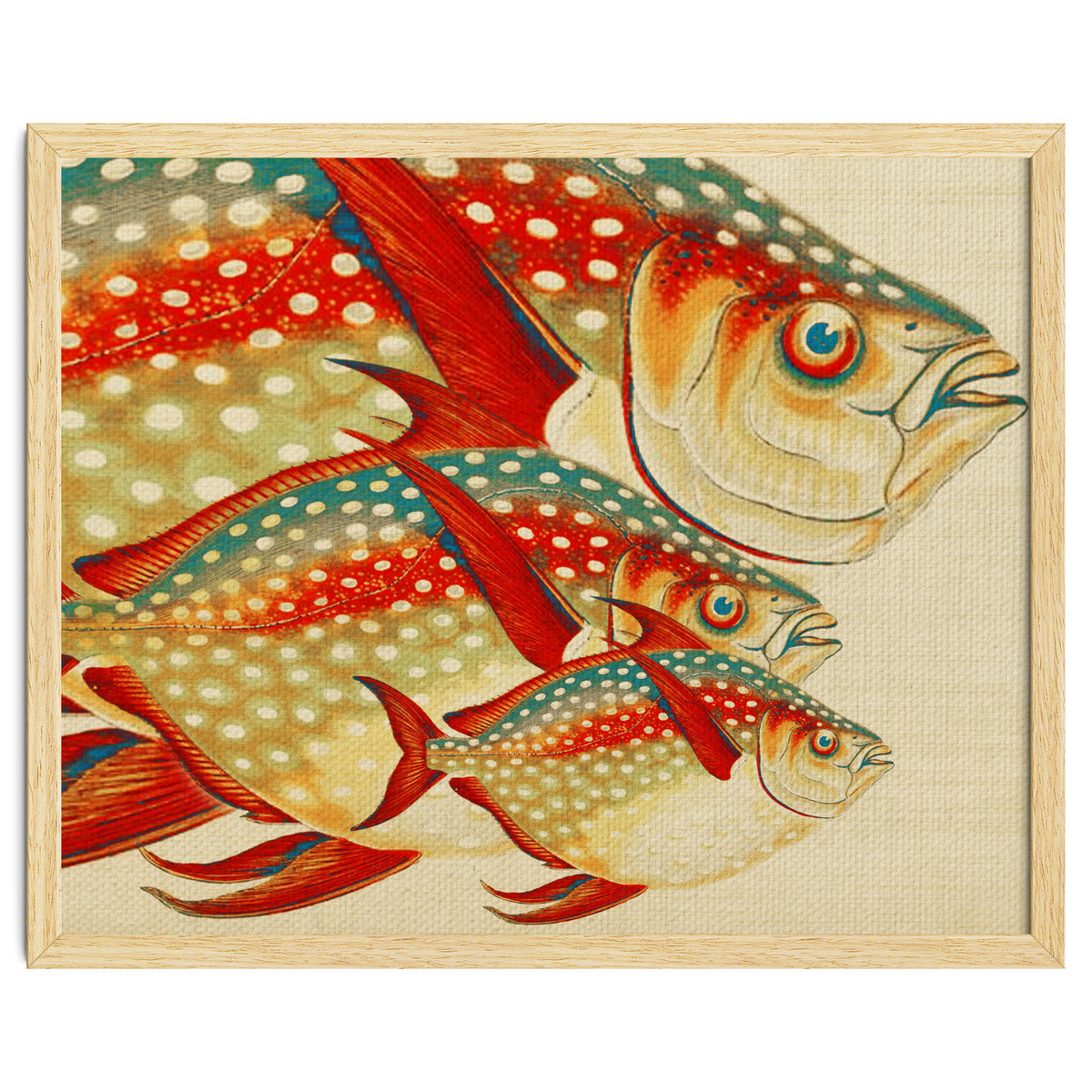 Fish Classic Designs 1