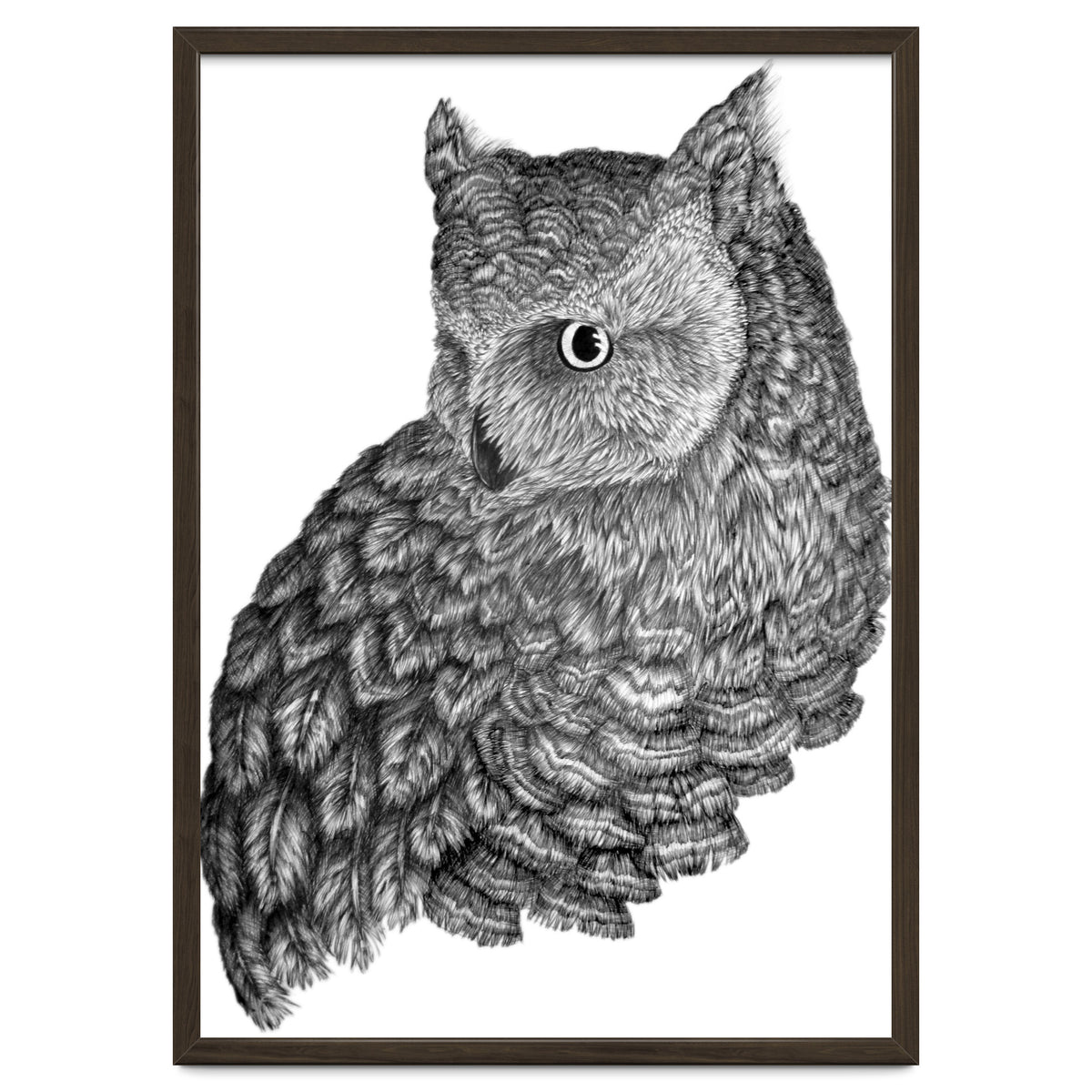 A Friend For Forsythe