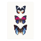Cc Butterflies 03 (Print Only) thumbnail