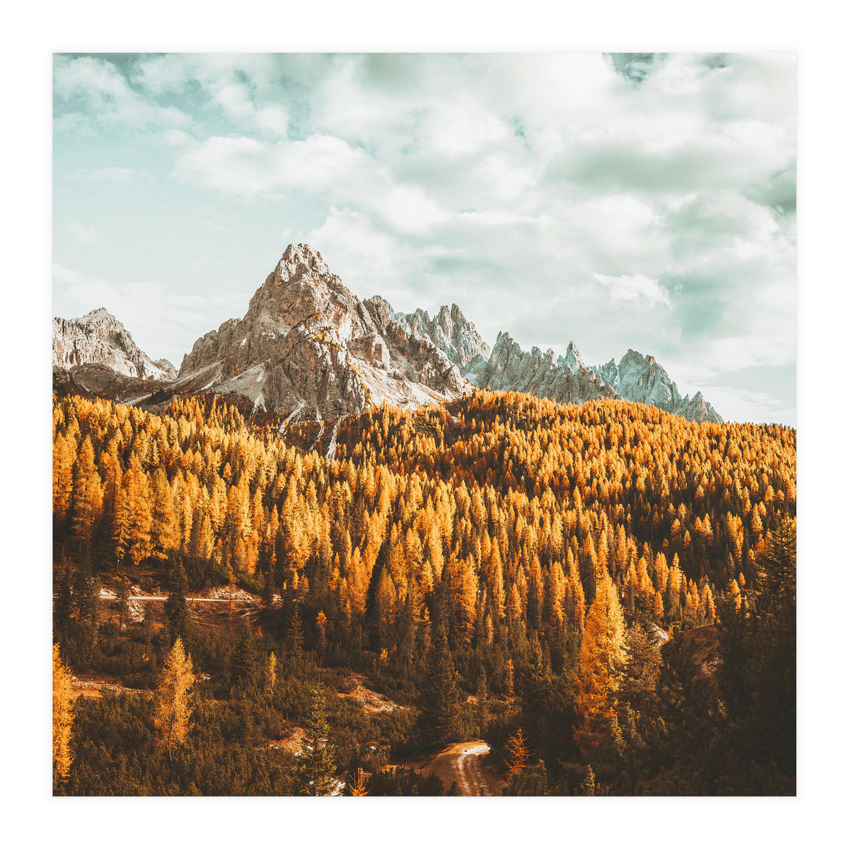 Let's Get Lost (Print Only)