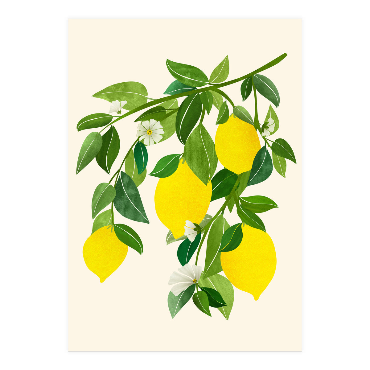Sunny Lemons (Print Only)
