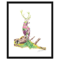 Floral May Stag