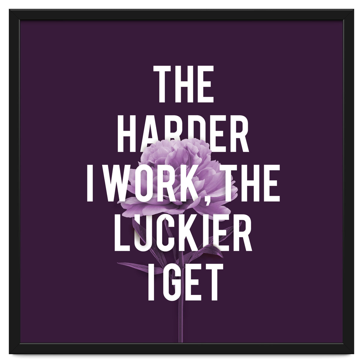 Work Hard Be Lucky