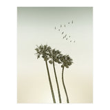 Vintage palm trees at sunset (Print Only) thumbnail