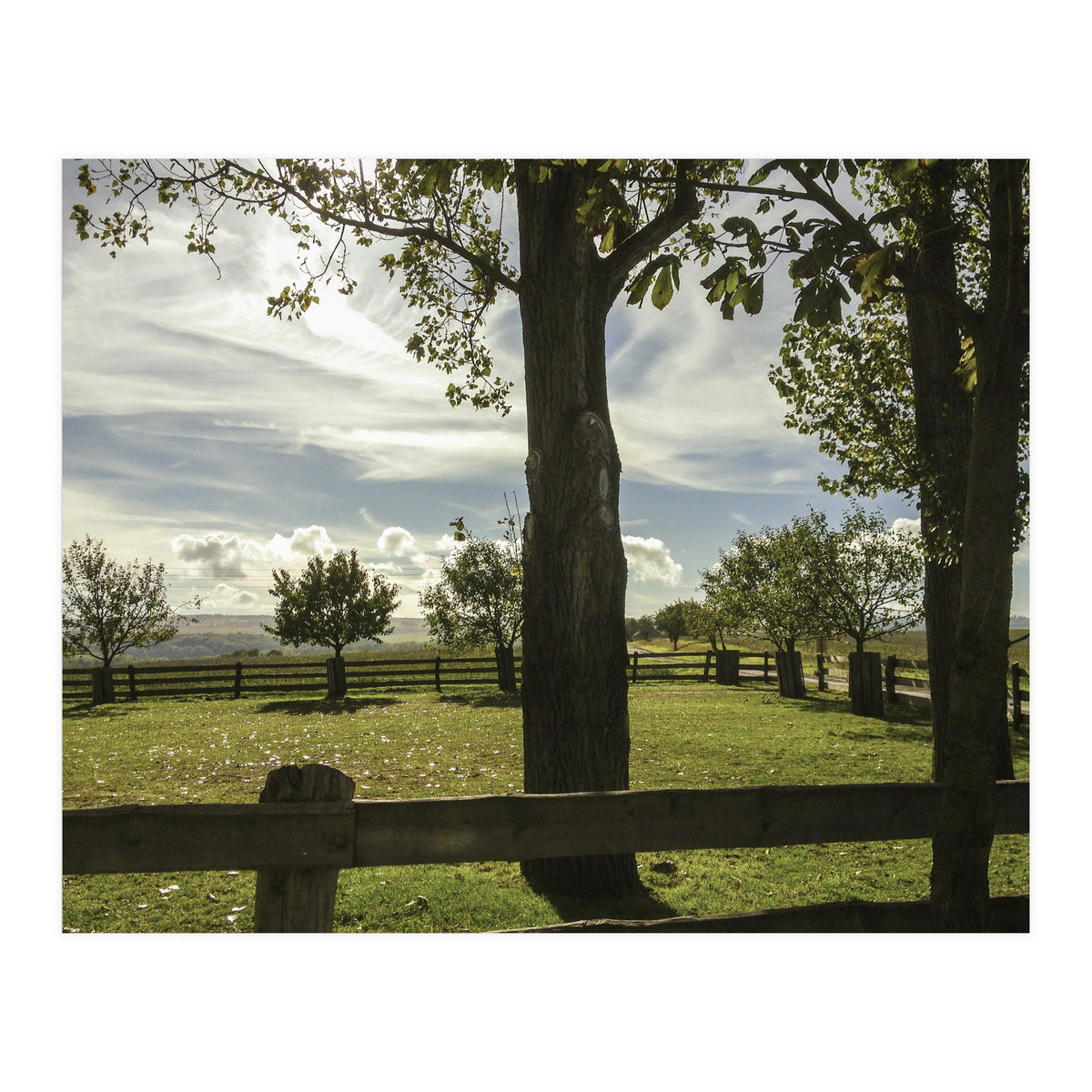 Bucolism 2 (Print Only)