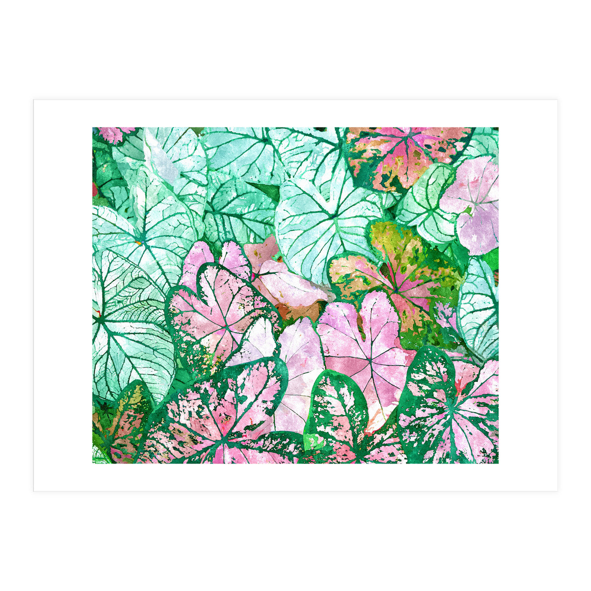 Rain & Nature (Print Only)