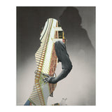 the hollywood carousel 2 (Print Only) thumbnail