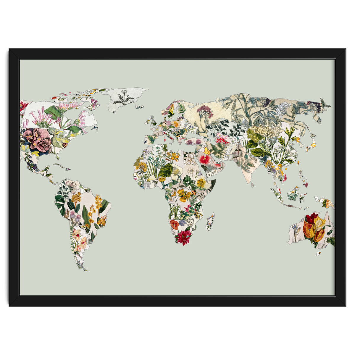 Vintage Botanical Map - Green