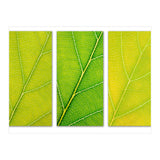 Autumn Leaves (Print Only) thumbnail