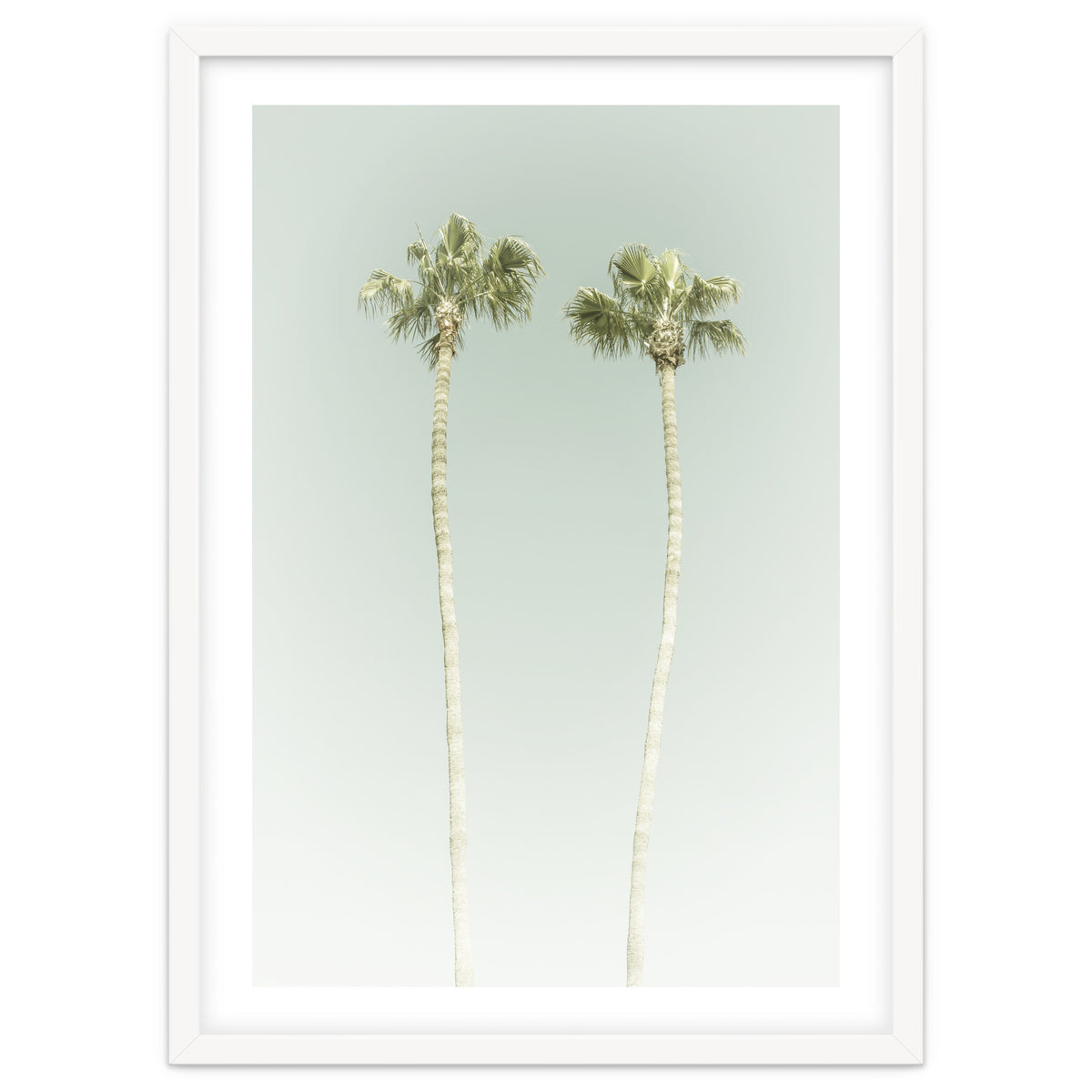 Vintage Palm Trees