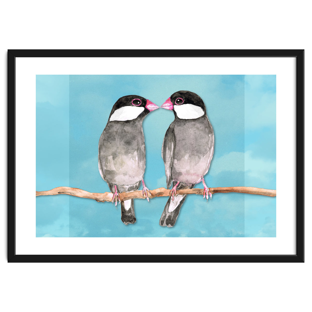 Two kissing Java sparrows