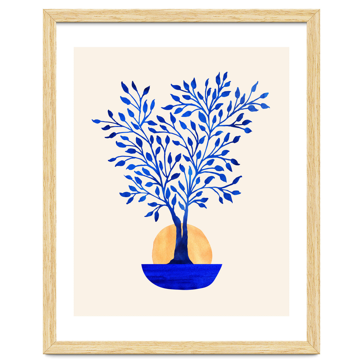 Indigo Ficus Sunrise