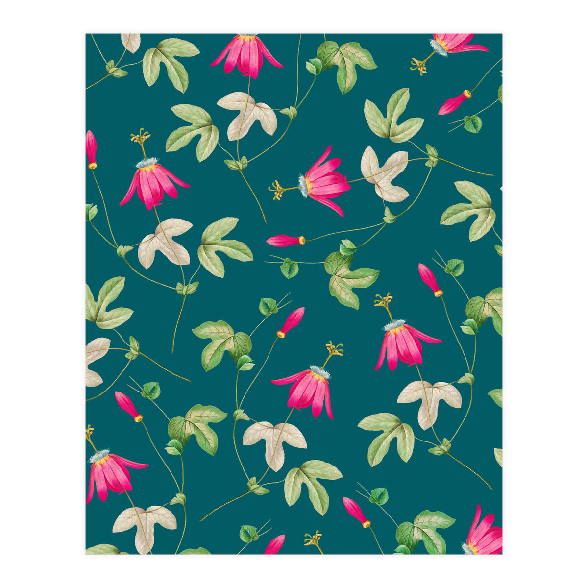 Art Of Nature (Print Only)