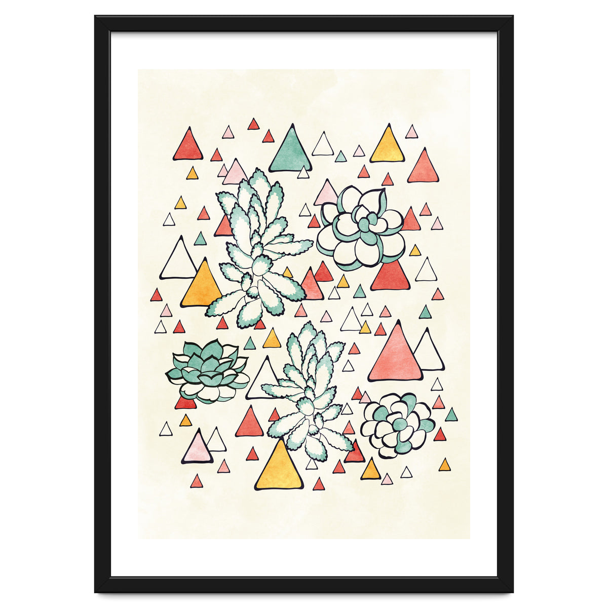 Succulent And Triangles