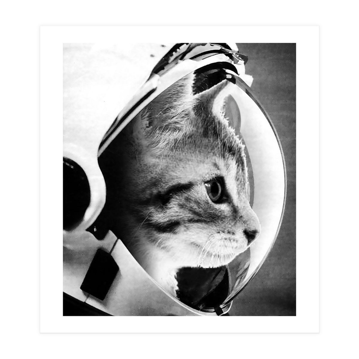 Astrocat (Print Only)