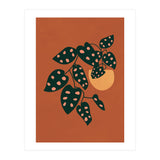 Monstera Adansonii (Print Only) thumbnail