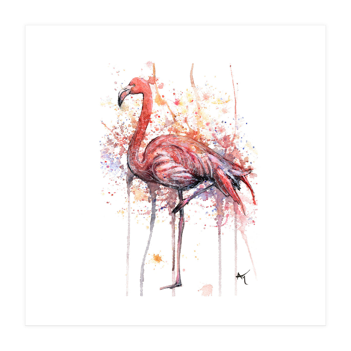 Flamingo - Wildlife Collection (Print Only)