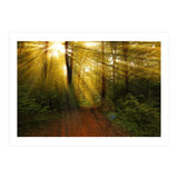 Nature (Print Only) thumbnail