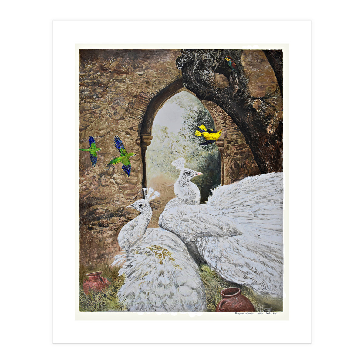 Portuguese Collection (Print Only)