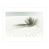 WHITE SANDS Idyllic scenery | Vintage (Print Only) thumbnail