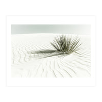 WHITE SANDS Idyllic scenery | Vintage (Print Only)