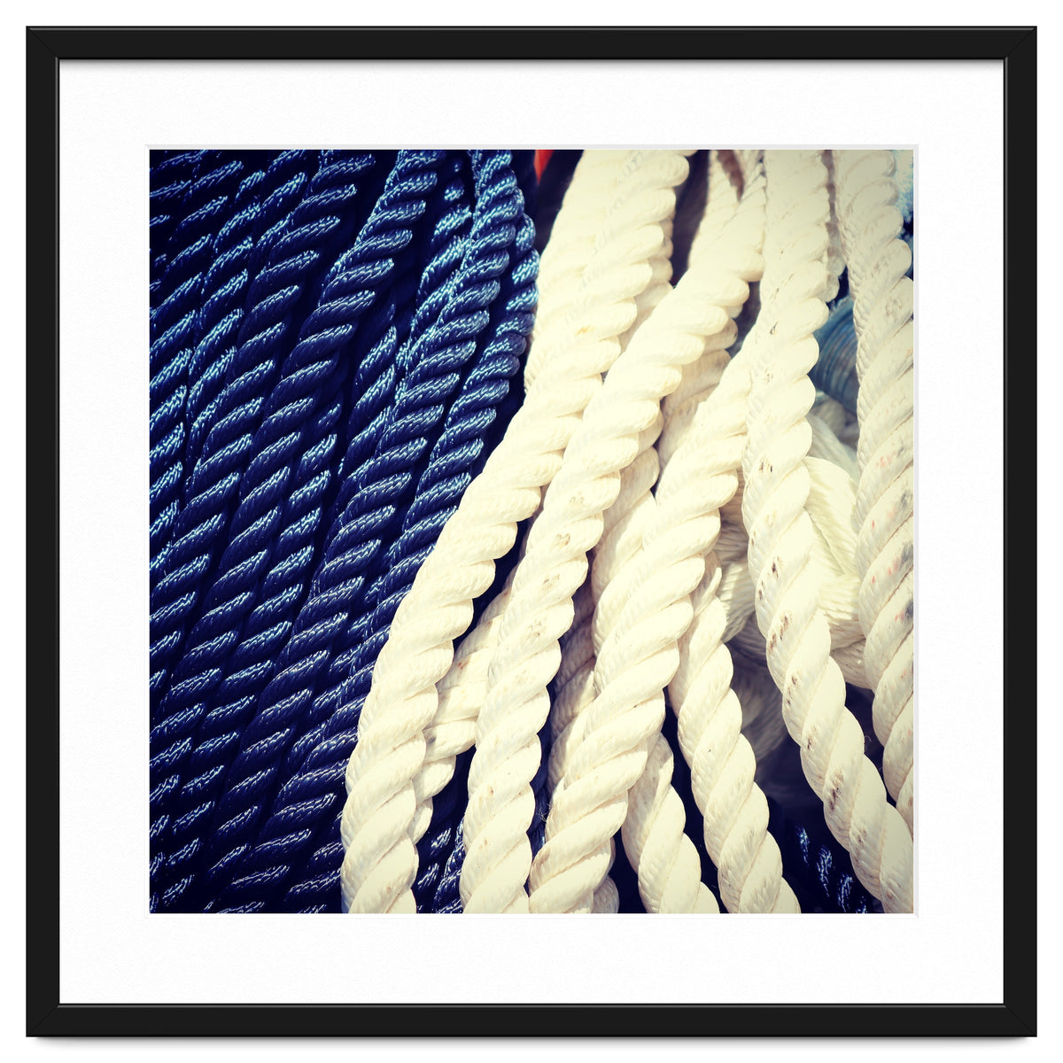 Blue and white fishing rope