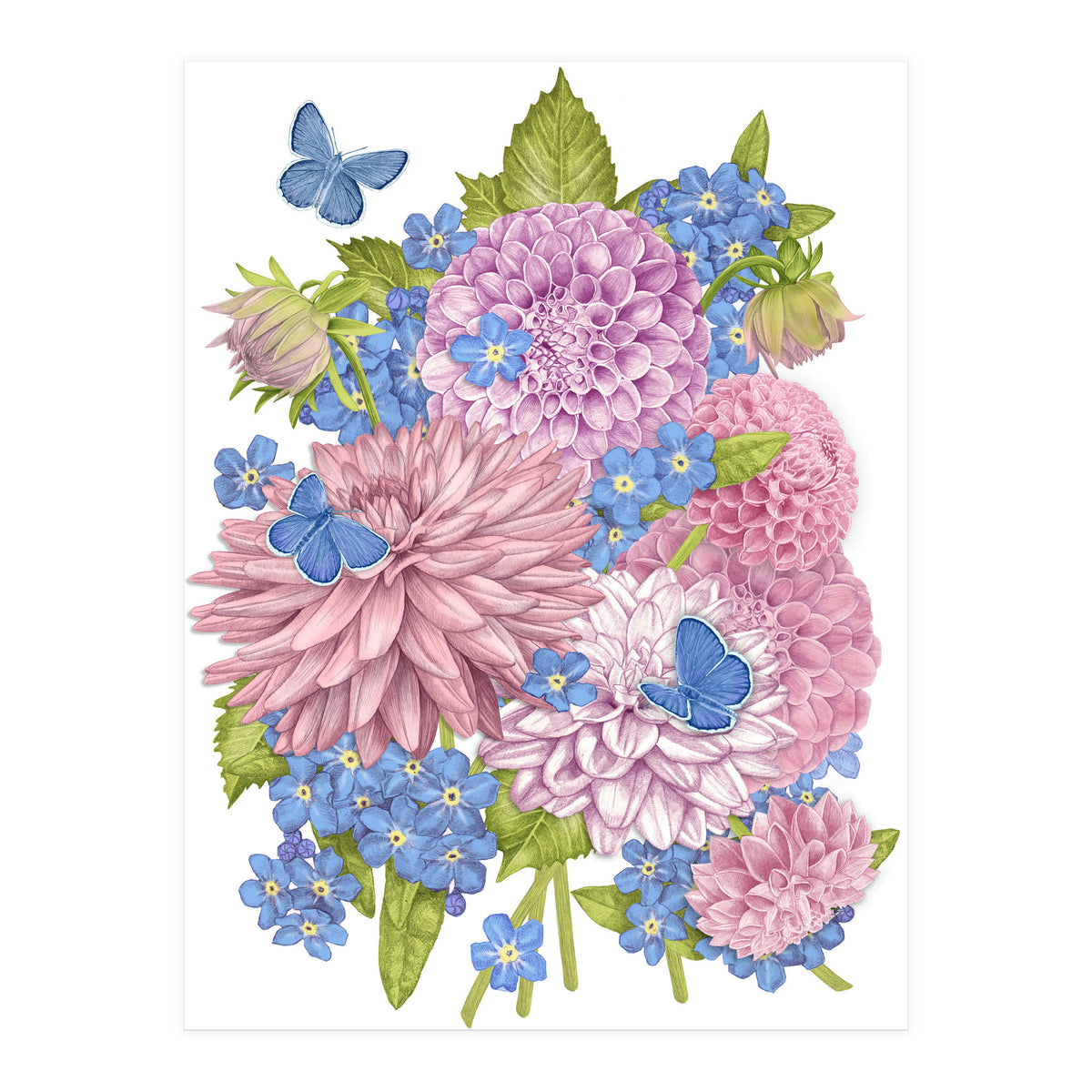 Pink Flowers and Butterflies (Print Only)