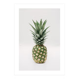 Pineapple (Print Only) thumbnail