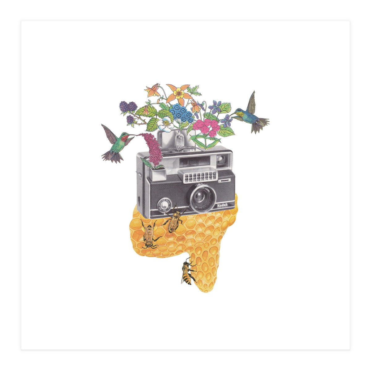 Vintage Camera (Print Only)