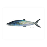 Fish Sierra (Print Only) thumbnail