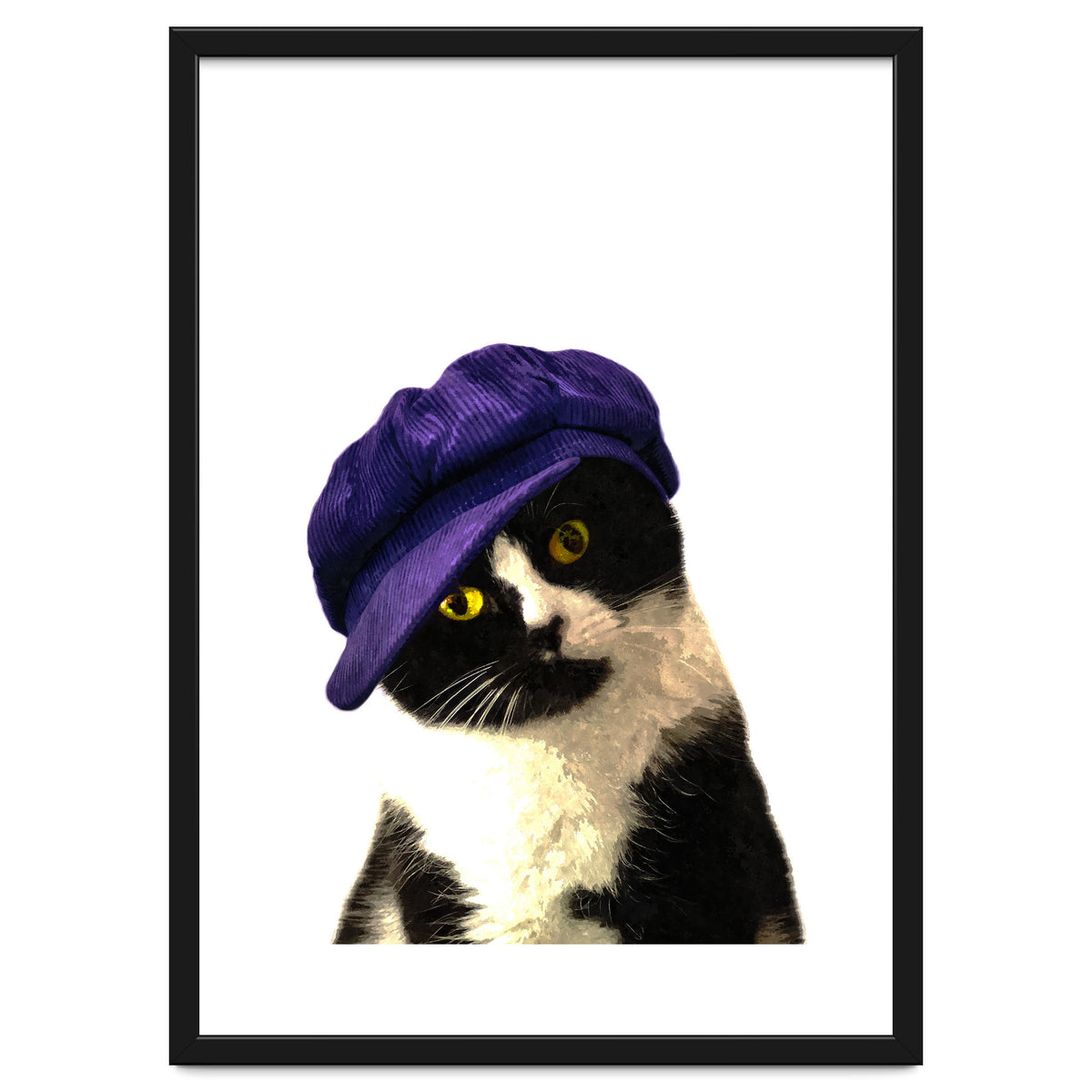 Cat Blue Hat