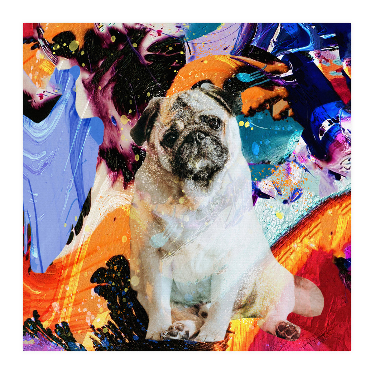 Zycko Color Dog 2 (Print Only)