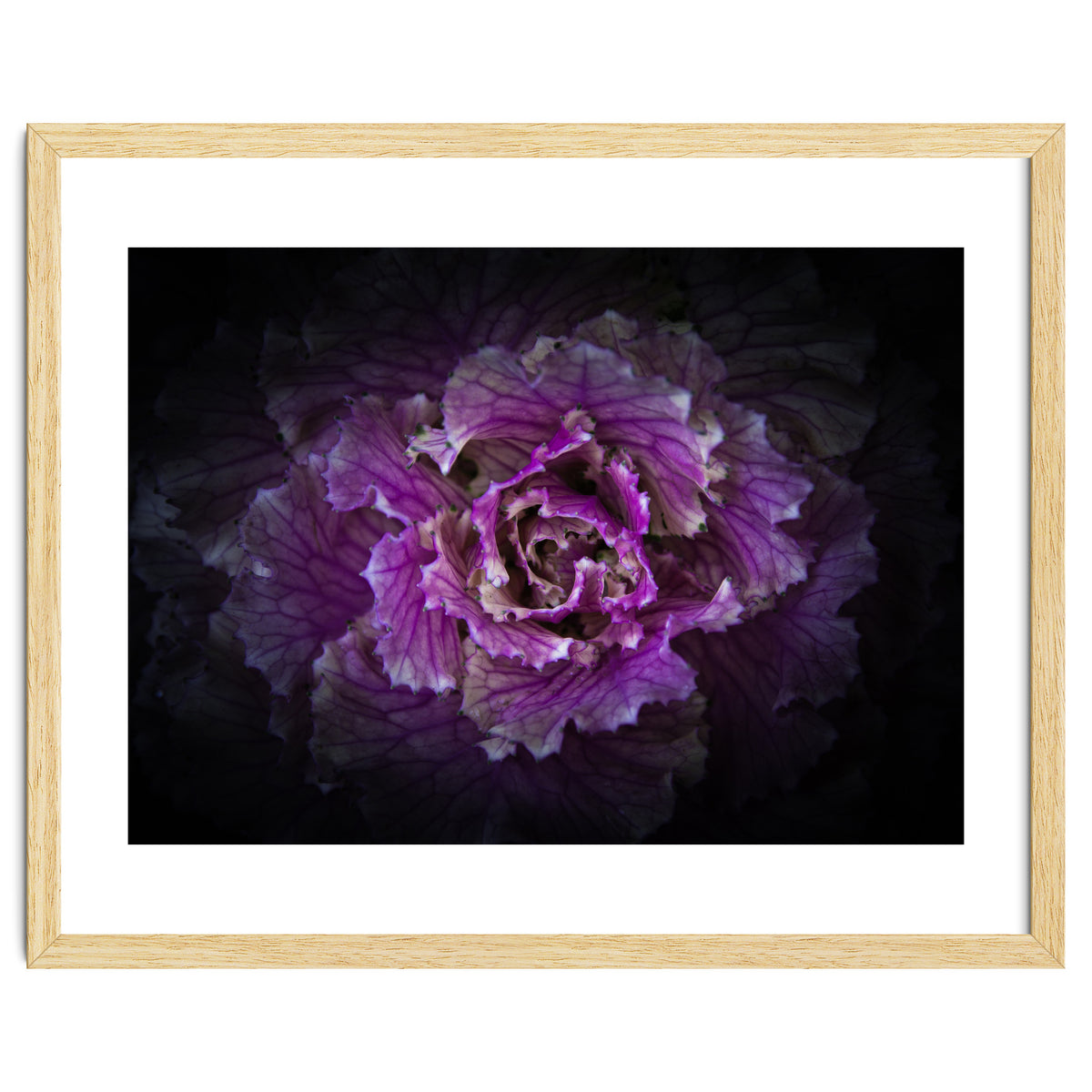 Backyard Flowers No 42 Color Version