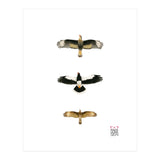 Falconidae n.2 (Print Only) thumbnail