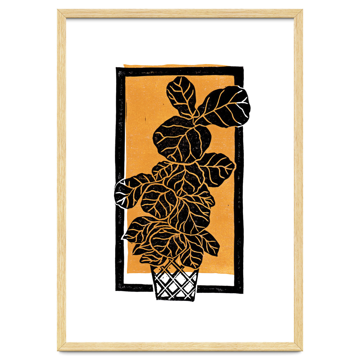 Fiddle Leaf Fig Clean + Sunlight