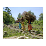 Nuwara Eliya, Sri Lanka (Print Only) thumbnail