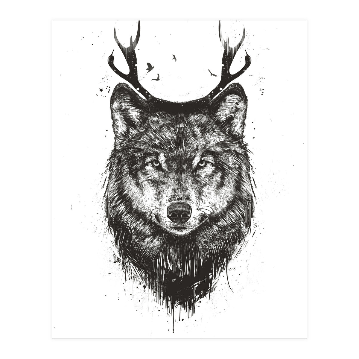 Deer Wolf Bw (Print Only)