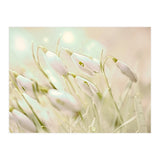 Enchanting Snowdrops (Print Only) thumbnail