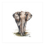 Elephant - Wildlife Collection (Print Only) thumbnail